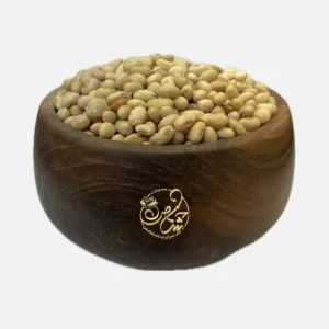 سویا آجیلی