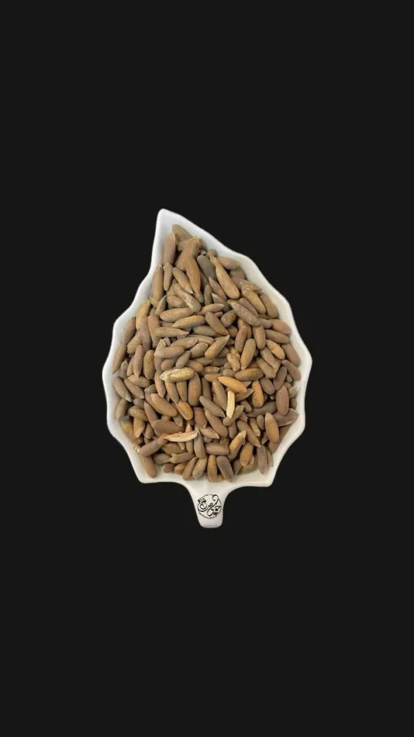 چلغوز خام